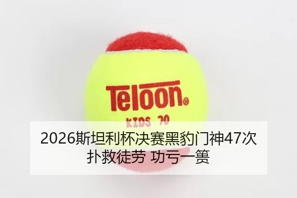 2026斯坦利杯决赛黑豹门神47次扑救徒劳 功亏一篑